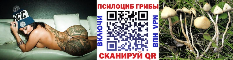 Псилоцибиновые грибы мухоморы  Новоузенск 