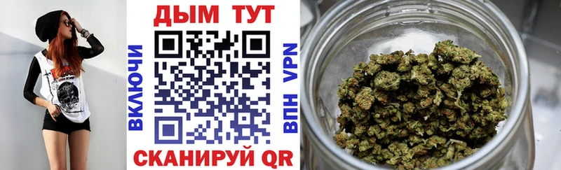 Бошки марихуана планчик  Новоузенск 